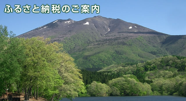 ふるさと納税のご案内