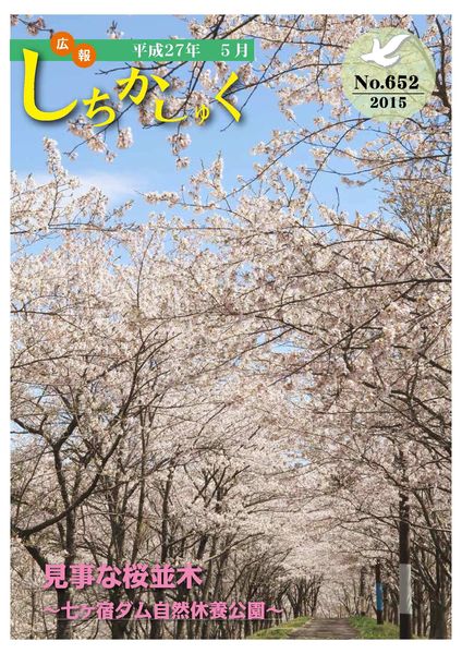 見事な桜並木
~七ヶ宿ダム自然休養公園~